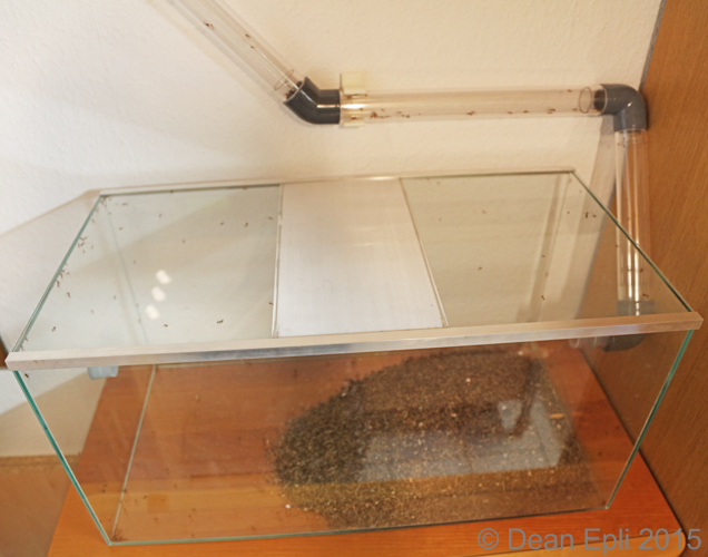 Neues Müllbecken