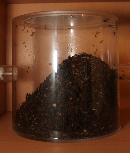 Müllbecken