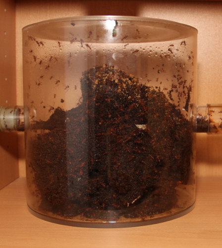Müllbecken