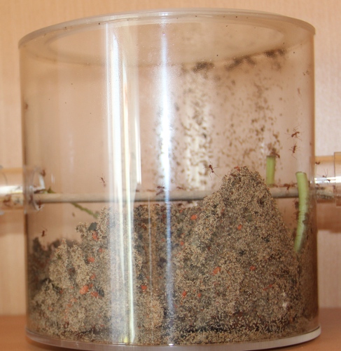 Sandhaufen