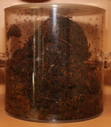 Müllbecken