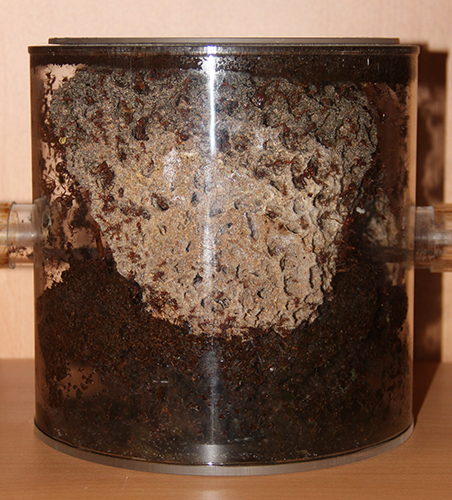 Müll im Pilzbecken